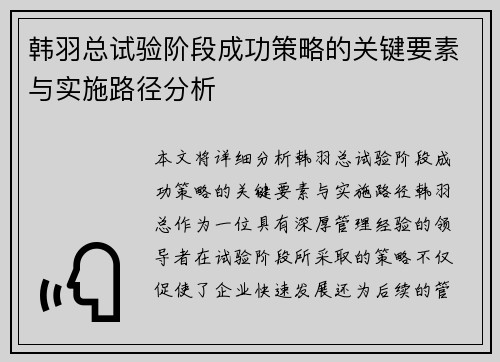 韩羽总试验阶段成功策略的关键要素与实施路径分析
